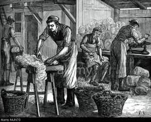 Wool sorters in the Eighties...1880s!